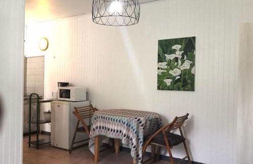 Salazie Apartment | Cascade et Paille-en-queue - Studio