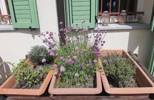 Vanara House | Cascina Teresina Monferrato Piscina