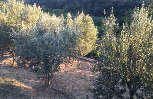 San Giovanni-Chiadino-Rozzol House | Casetta Helena