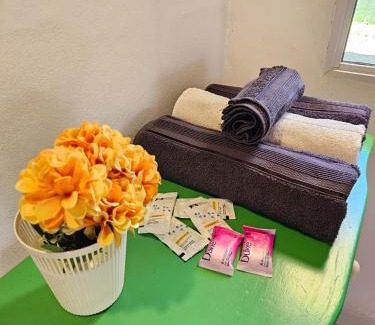 Posadas Apartment | Casita pintoresca con entre piso