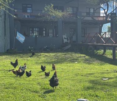 Partido de San Pedro House | Casona El Templo Islero