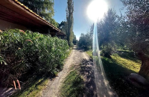 Guaymallen Villa | Casona Los Papiros tranquilidad en la naturaleza