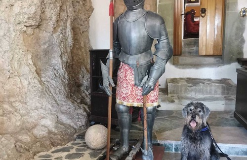 Wetzlar Other | Castle Hermannstein - KingsRoom