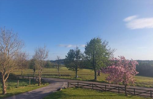 Cavan Apartment | Castleview Apartment 1