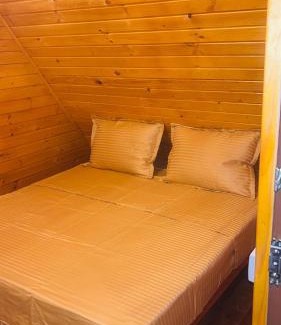 Simnicu de Sus Other | Casuta Pescarului