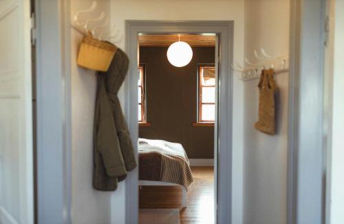 Langeland Municipality House | Cattle And Horses At Lundstedet At Skovsgaard