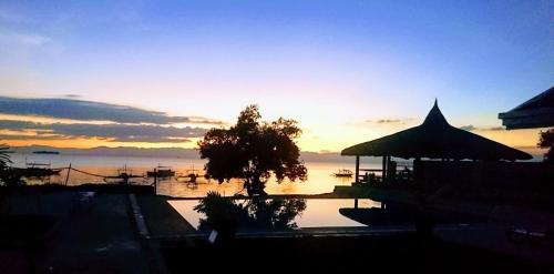 Moalboal Hotel | Cebu Seaview Dive Resort