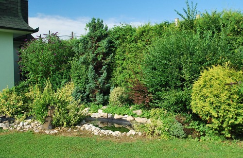 Zalakaros Apartment | Cedar Apartment 4 - One Bedroom Apartment, Sleeps 4