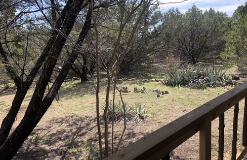 Granbury Cabin | Cedar Ridge Log Cabin on 14 acres - Pet Friendly!