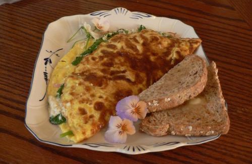 Regional District of Nanaimo Bed & Breakfast | Cedar Song B&B