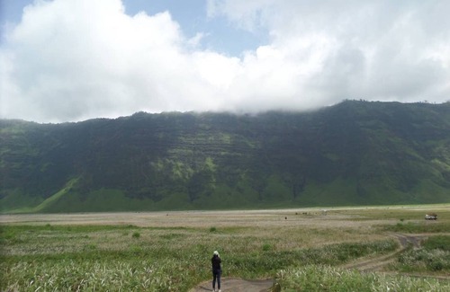 Ngadisari House | Cemara Lawang Homestay2