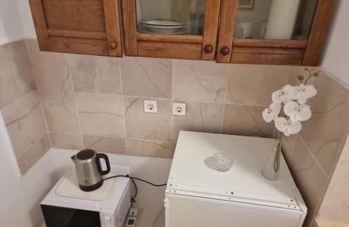 Old Town Apartment | Center room D16 in the ancient Roman palace