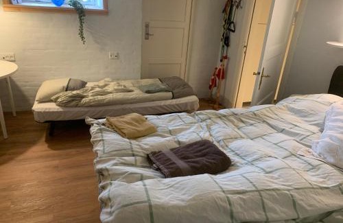 Guldborgsund Kommune House | Central by lejlighed