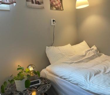 Mariehamn Apartment | Central floor with sauna, wi-fi and own entrance