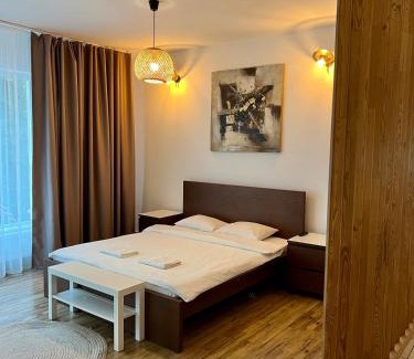 Targoviste Apartment | Central Loft Studio Târgoviște