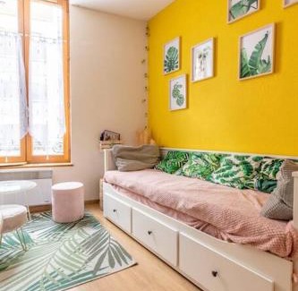 Clermont-Ferrand Apartment | Centre ville 24 couchages Marmontel