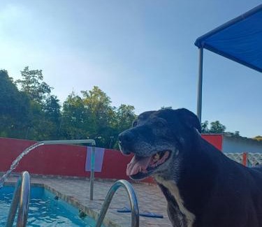 Franco da Rocha House | Chácara Boa Esperança