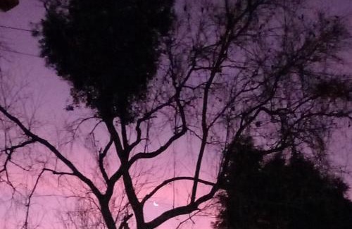 Ibiuna House | Chácara Maira e Araken