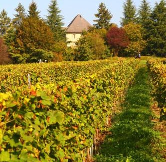 Chambery Hotel | Château de Candie