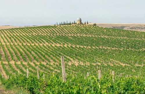 Azerbaijan Apartment | Chabiant Winery Hotel