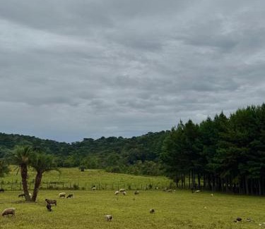 Correia Pinto Ski Chalet | Chalé copo de leite