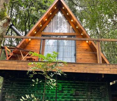 Garibaldi Ski Chalet | Chalé da Roça - Garibaldi