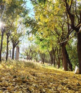 Delmiro Gouveia Cabin | Chalés Mirante do Talhado