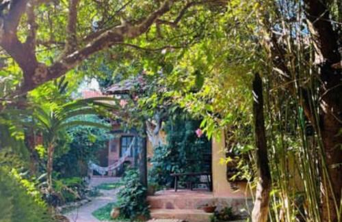 Sao Jorge Cabin | Chalés Toa Rosa