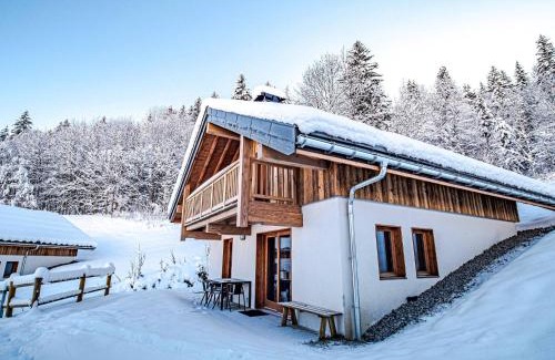 Valmorel Ski Chalet | Chalet 3* Valmorel, skis aux pieds, 3 chambres, parking, WIFI - FR-1-356-401