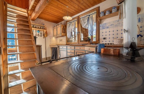 Rabbi Ski Chalet | Chalet 'Baita Mas Sternai Nel Parco' with Mountain View, Private Garden and Wi-Fi