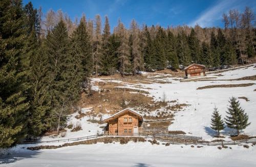 Rabbi Ski Chalet | Chalet Bambi