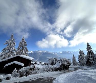 Anzere Ski Chalet | Chalet Beau-Site Anzère