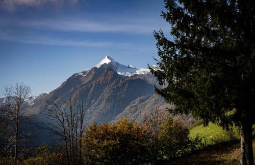 Kaprun Ski Chalet | Chalet Carpe Diem