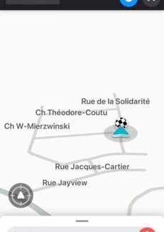 Mansonville Ski Chalet | Chalet Deschamps- SPA- Chien accepté- Nature- Estrie