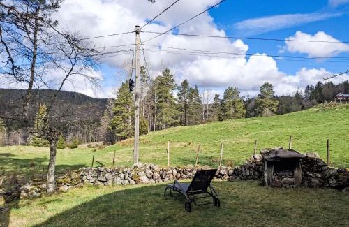 Evje Ski Chalet | Chalet Flatebygd by Interhome