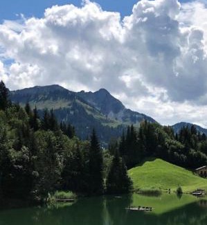 Sonntag Apartment | Chalet Frederik