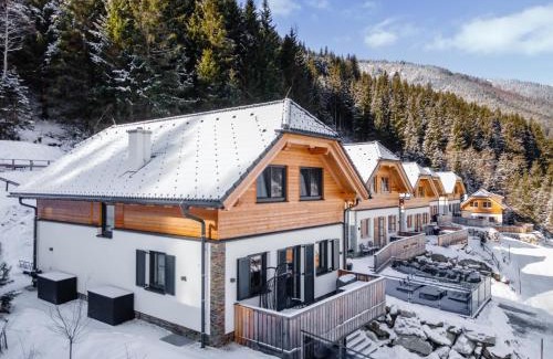 Donnersbachwald Ski Chalet | Chalet Hirschblick