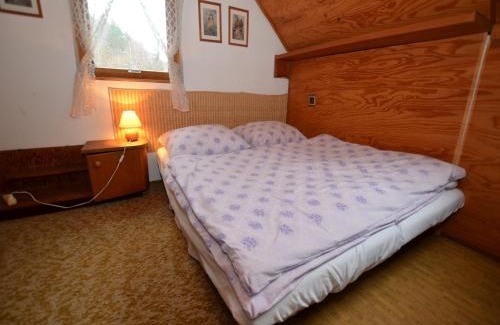 Mala Skala Ski Chalet | Chalet in Malá Skála near Ski Slopes