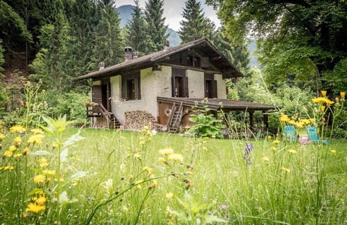 Concei Ski Chalet | Chalet in the forest and ideal for digital detox
