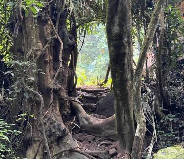 Illukkumbura Other | Chalet in the Jungle