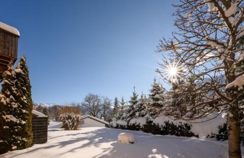 Ovronnaz Ski Chalet | Chalet Le Chamois Vert by Interhome