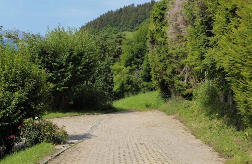 Chesieres Apartment | Chalet Les Pommiers