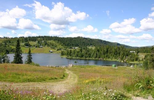 Svingvoll Ski Chalet | Chalet Liaråket by Interhome