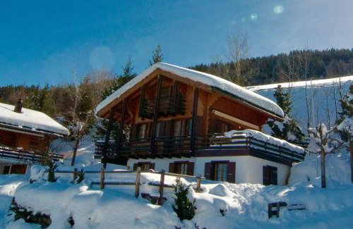 Nendaz Ski Chalet | Chalet Lisa Ski-in, ski-out Well equipped
