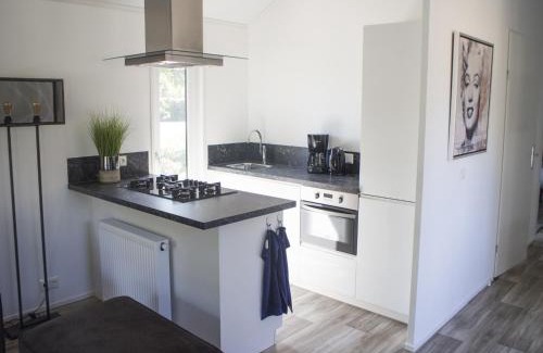 Biddinghuizen Ski Chalet | Chalet near Zuiderzee with Garden