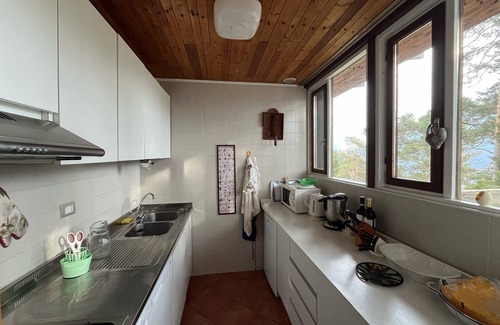 Borca di Cadore Ski Chalet | Chalet nestled in the woods a few minutes from Cortina d 'Ampezzo