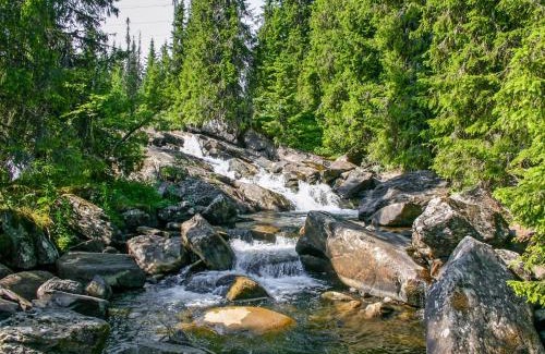 Svingvoll Ski Chalet | Chalet Skeisvegen by Interhome