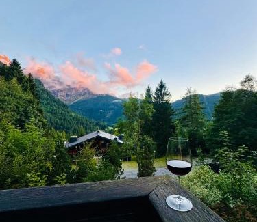 Ormont-Dessus Apartment | Chalet Toccata, cosy et lumineux