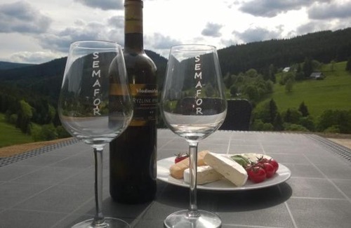 Dolni Mala Upa House | Chalupa Semafor