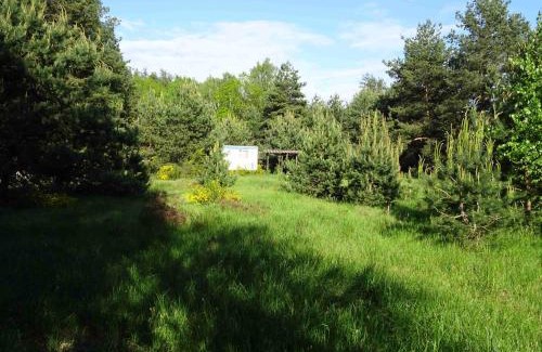 Vlkov House | chalupa U Hovorků s bazénem - u pískoven Vlkov